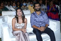Rebels of Thupakulagudem Pre Release Event Photos